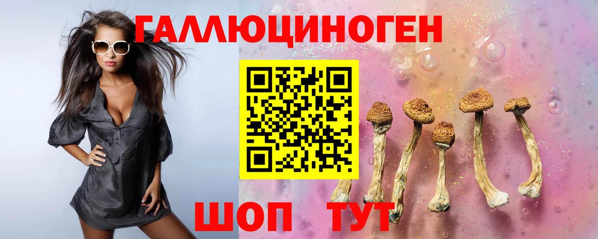 Галлюциногенные грибы Cubensis  Вход с VPN  Фролово  Псилоцибиновые грибы Psilocybe 
